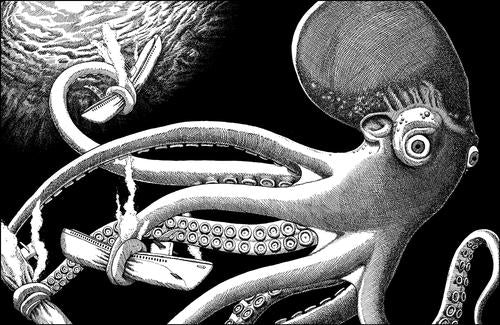 Octopus - framed print - Eco Evolution