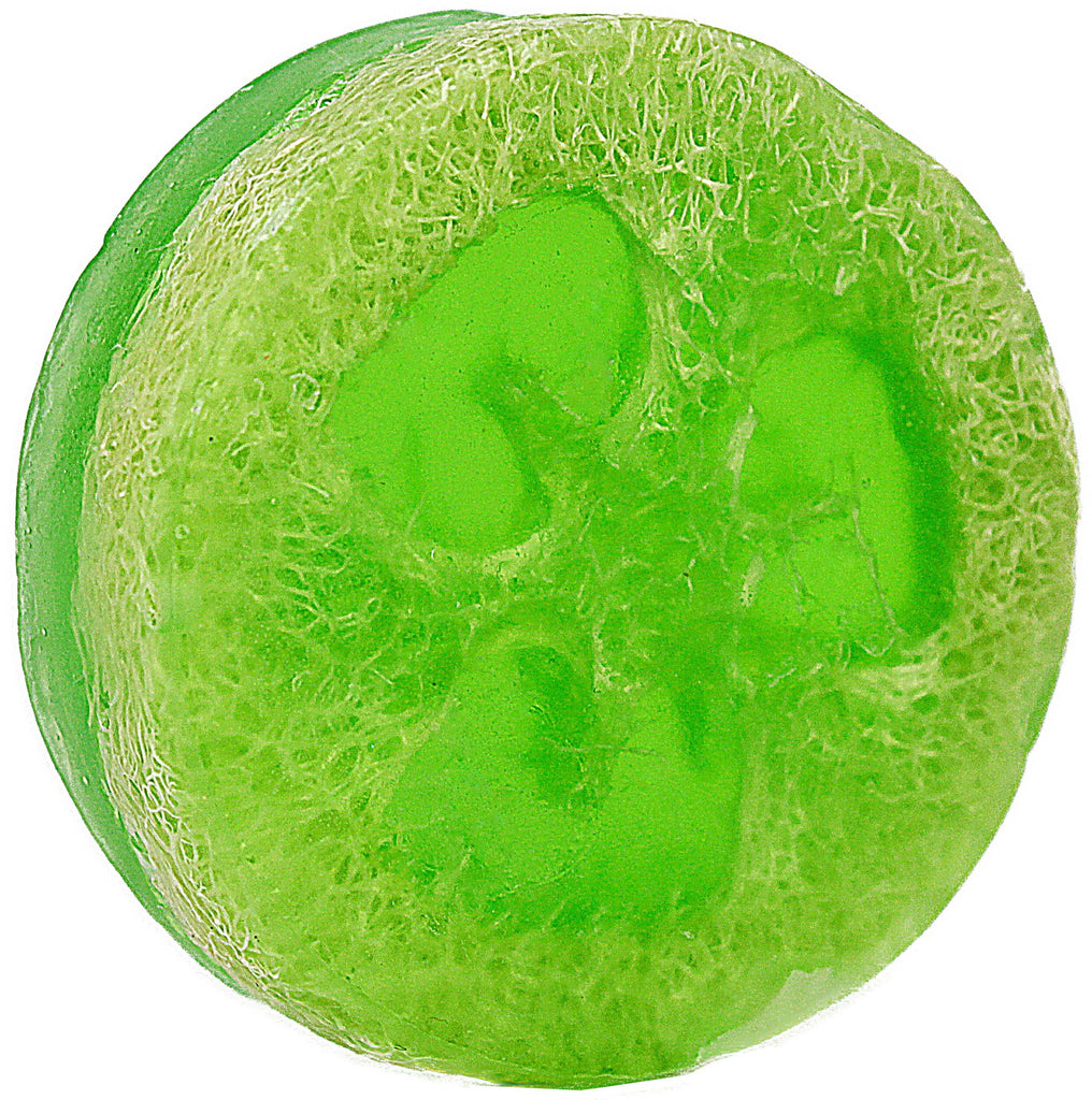 Loofah Soap - Eco Evolution