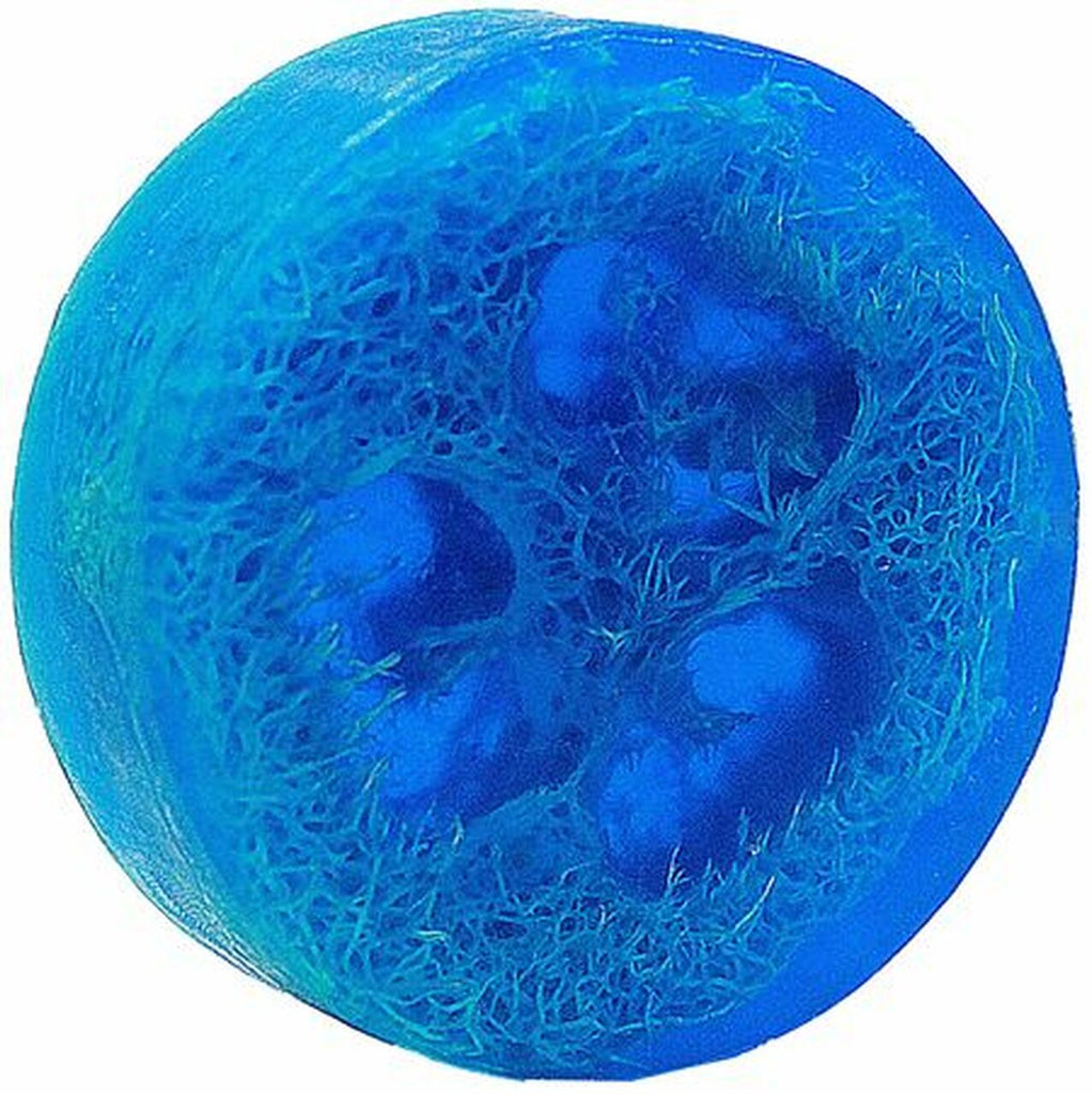 Loofah Soap - Eco Evolution
