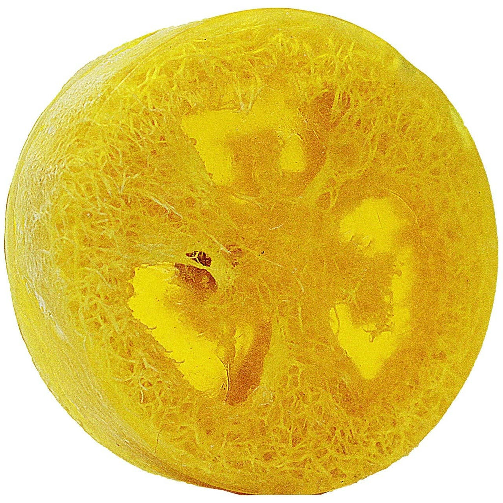 Loofah Soap - Eco Evolution