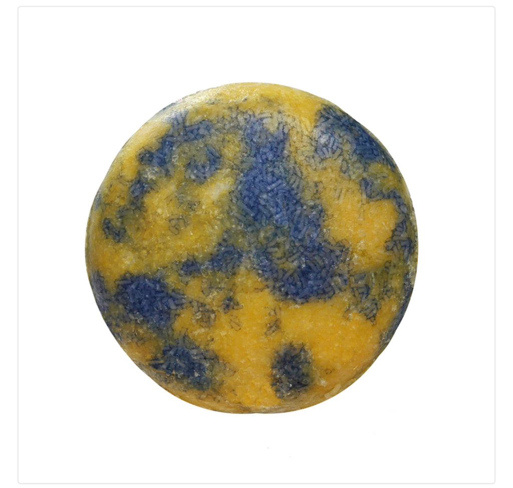 Shampoo Bars - Naples Soap Company - Eco Evolution