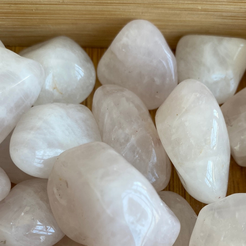 Rose Quartz Polished Tumbles - Eco Evolution