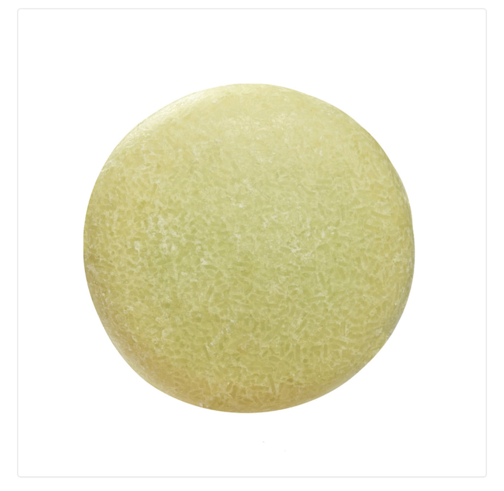 Shampoo Bars - Naples Soap Company - Eco Evolution